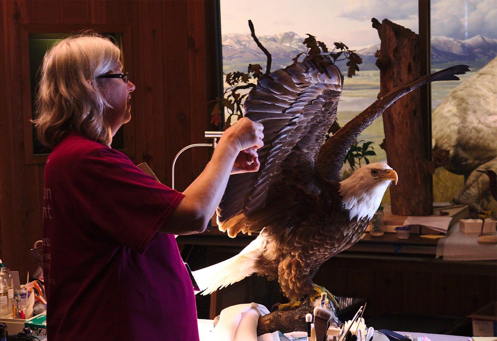 Woman preserving eagle